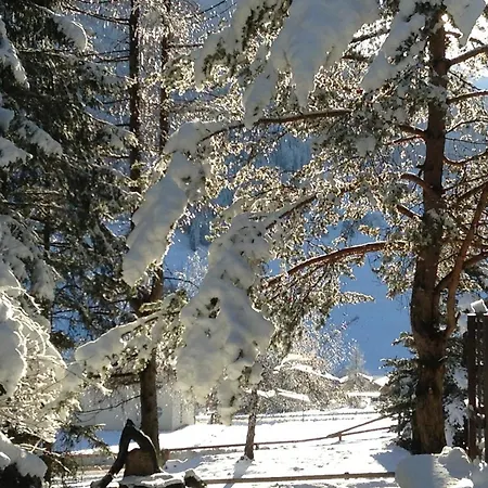 Bergblick Tga Craps Alv Savognin